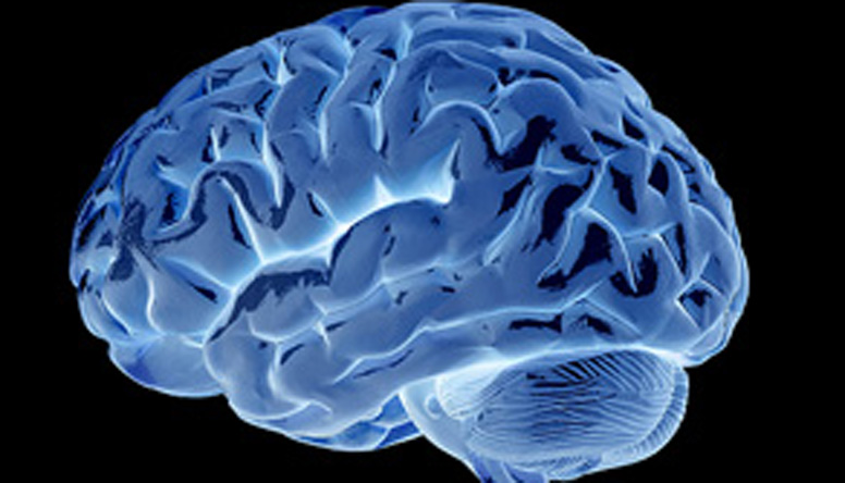 Nuove evidenze sulla sicurezza cerebro-vascolare dei bisfosfonati