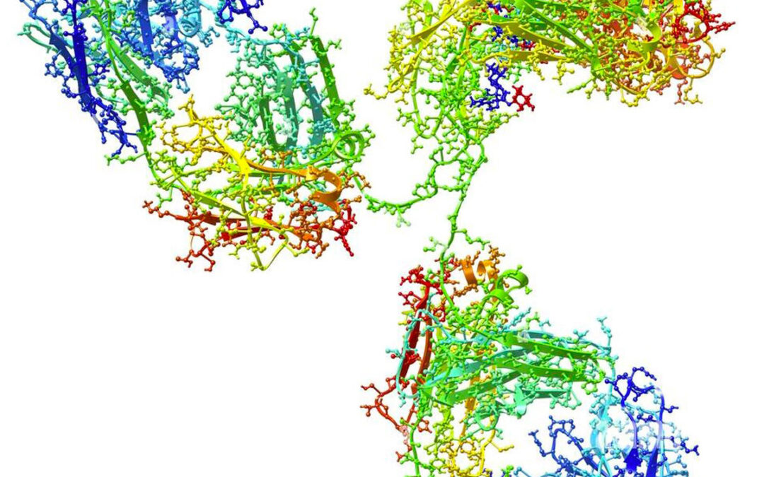 Il denosumab nel trattamento dell’artrosi erosiva